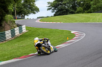 cadwell-no-limits-trackday;cadwell-park;cadwell-park-photographs;cadwell-trackday-photographs;enduro-digital-images;event-digital-images;eventdigitalimages;no-limits-trackdays;peter-wileman-photography;racing-digital-images;trackday-digital-images;trackday-photos